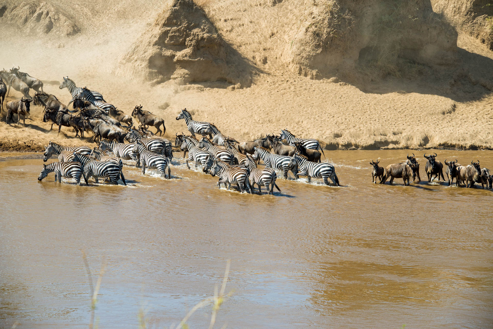 8 Days Classic Serengeti Migration Safari