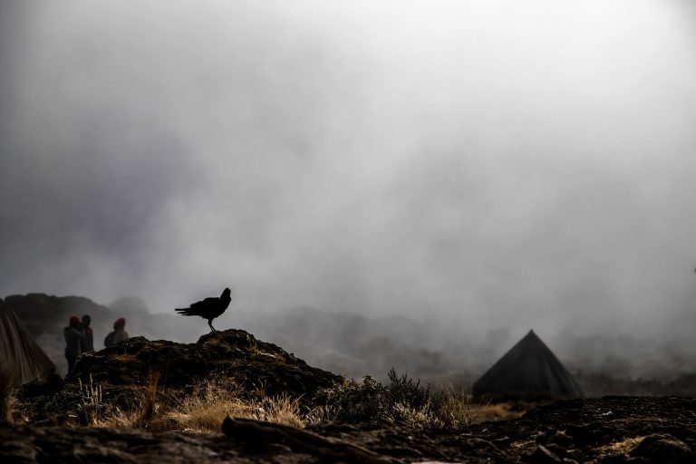 9 Days Northern Circuit Route With Crater Overnight